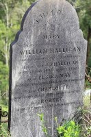Old headstone Walhalla