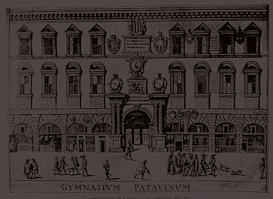 Uniwersytet w Padwie