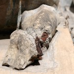 Detalle de uno de los desperfectos que han hecho mella en las esfinges del Templo Masónico